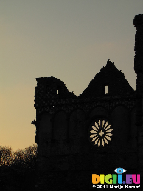 SX17397 Silhouette of wheel window Bishop's Palace